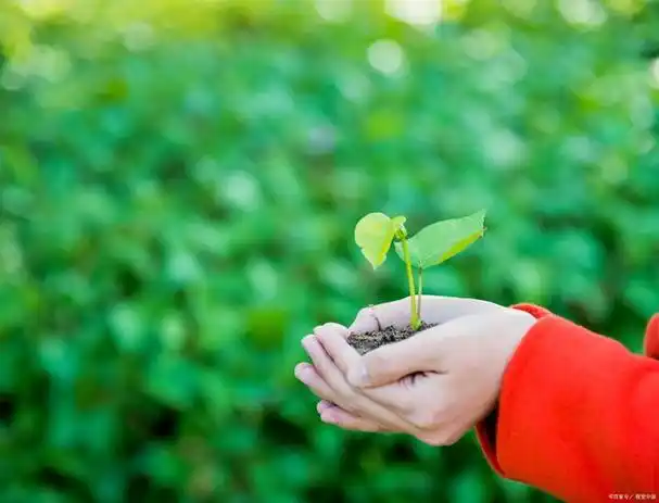 让生命充满正能量——从心灵鸡汤中汲取力量