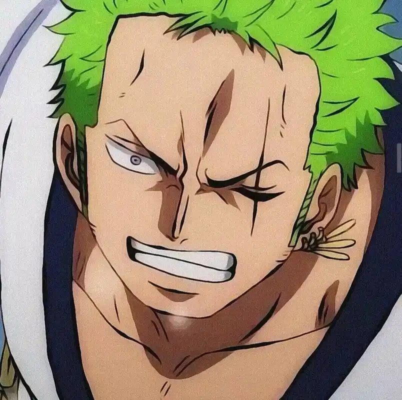此乃修罗之道 索隆特辑#海贼王# #动漫头像# #海贼王索隆