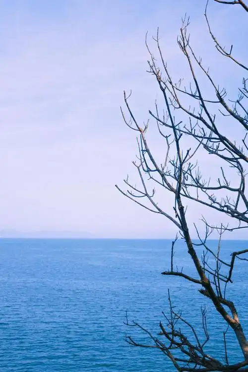 回车桌面 > 图库 > 小清新风光景色 8/9张图片 相关标签 清新淡雅