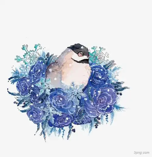 矢量鸟和雪png素材透明免抠图片-动植人物