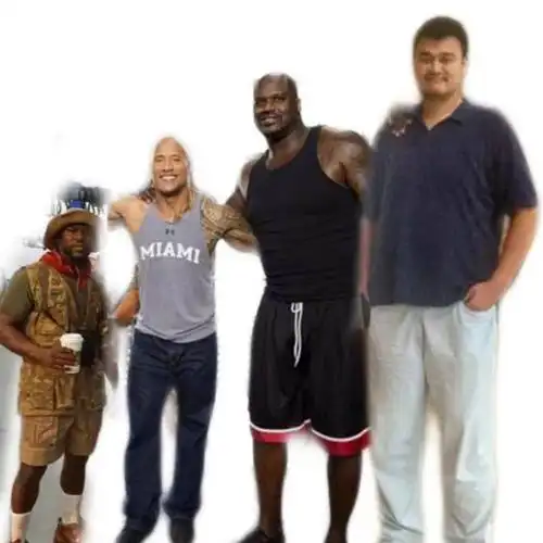 当遇到强森 强森遇到奥尼尔 奥尼尔遇到姚明 没有对比就没有伤害