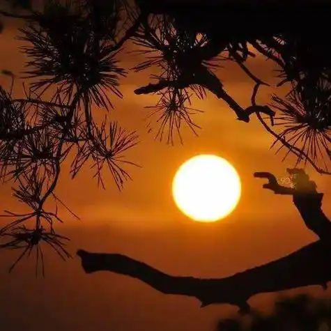 中老年头像大全适合成熟男人的暖色系微信头像