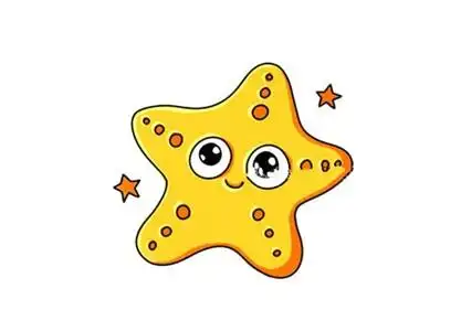可爱的海星