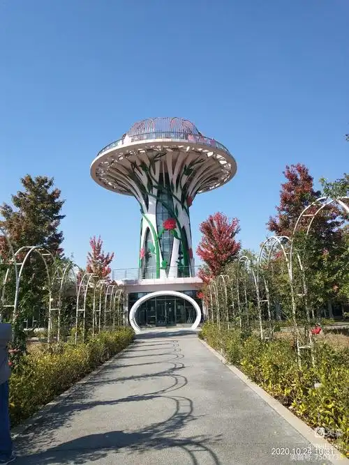 滁州花博园2020.10.25