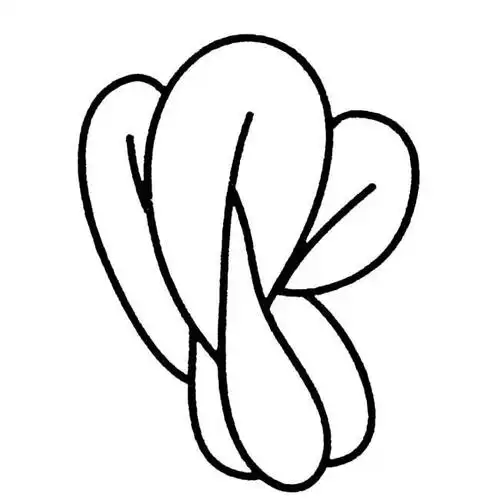 青菜蔬菜简笔画步骤图片大全二青菜简笔画蔬菜内容包含相关各种呆萌小