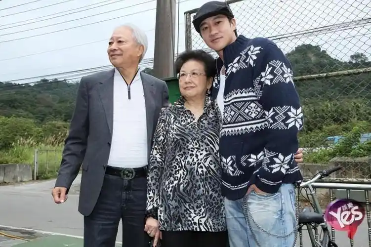 回顾林姵希嫁绯闻不断的何润东相伴15年至今无子她值得吗