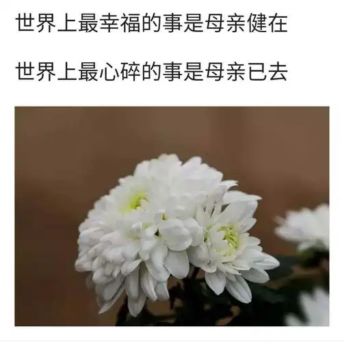 怀念母亲2018.5.13母亲节