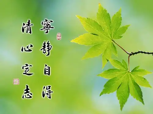 帮我看一下这个图片上面八个字的意思