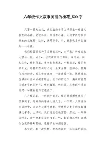 六年级作文叙事美丽的桂花500字