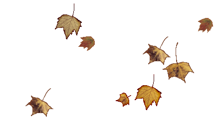 447_279gif 动态图 动图