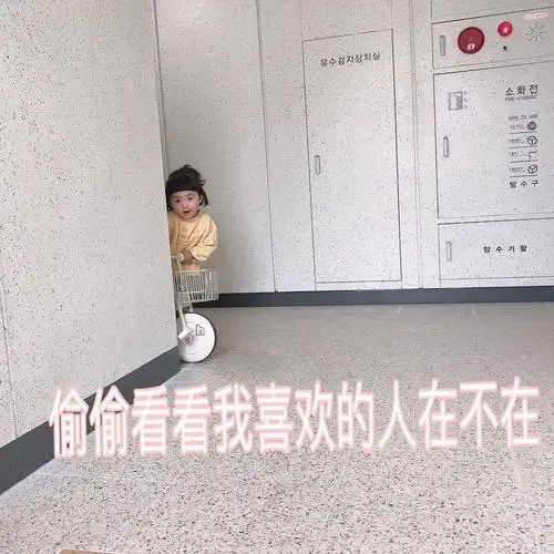 偷偷看看我喜欢的人在不在