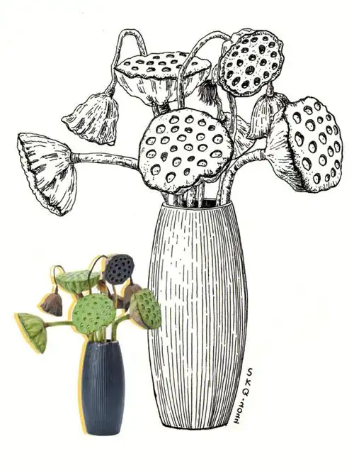 静物写生线描莲蓬内附过程图