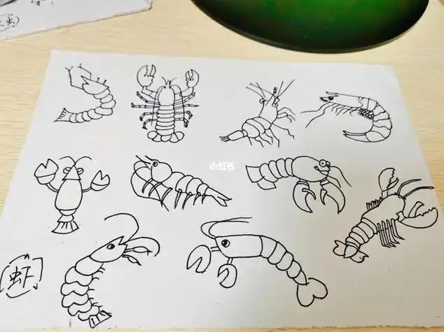 画儿童彩色简笔画卡通动物虾儿童简笔画 如何画一只虾儿童小虾的画法