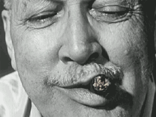 吸烟吸烟者酿造的雪茄challenger23雪茄抽烟gif动图_动态图_表情包