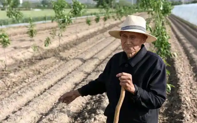 在农村,六七十岁的老人还在下地干活,是为什么?