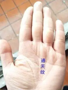 传统相法之手相:手有"通天纹",富贵自天来!_网易订阅