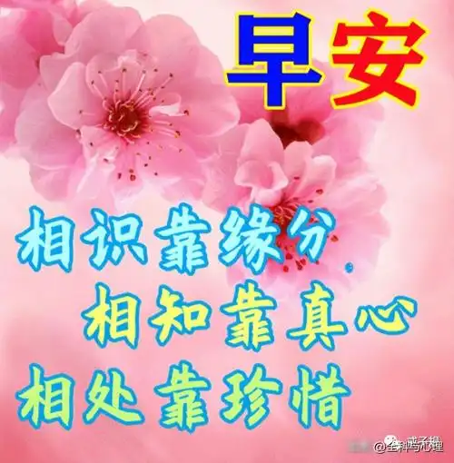 早安祝福,相识靠缘分,相处靠珍惜!