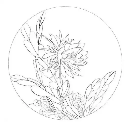 季阑工笔花鸟圆扇面29幅,色稿 白描,喜欢的收藏关注