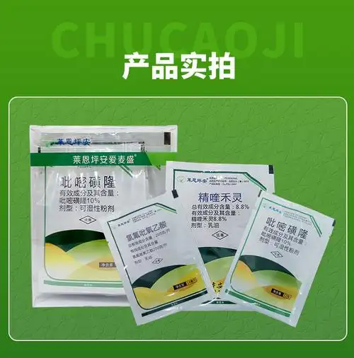 坪安玉龙净爱麦盛玉龙草日本矮麦冬不伤麦冬除草剂阔尖叶莎草杂草 65