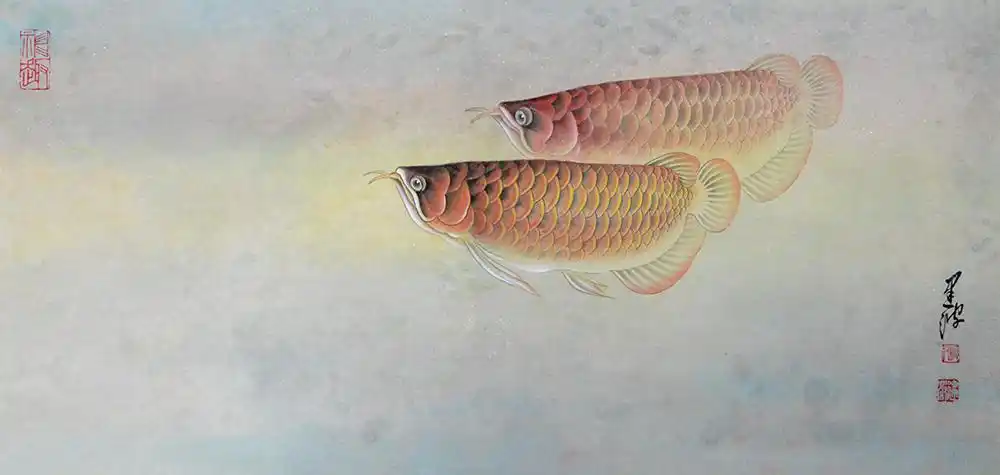 张建波 ---工笔工笔画——鱼儿