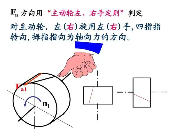 对主动轮,左(右)旋用左(右)手,四指指 转向,拇指指向为轴向力的方向
