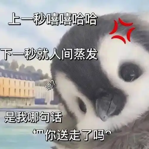 一些很有趣的表情包:气死我了_公众_il_熊猫头