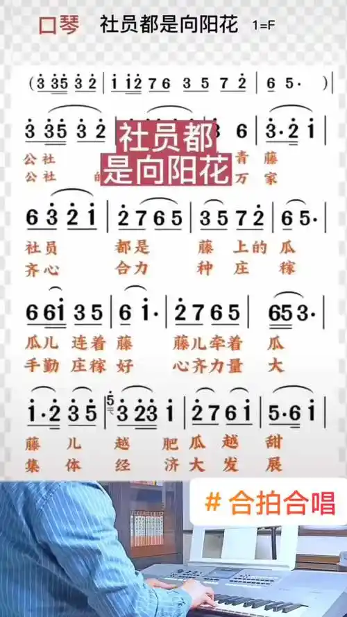 社员都是向阳花简谱合拍合唱
