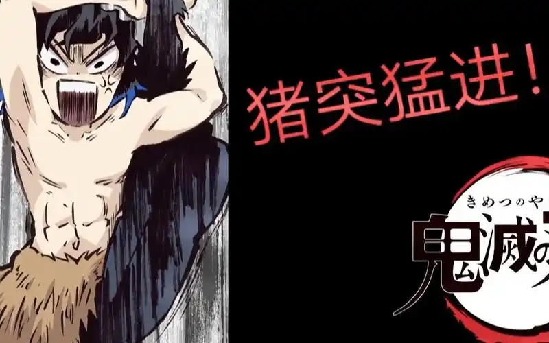 【鬼灭之刃/伊之助】每日一遍,猪突猛进!