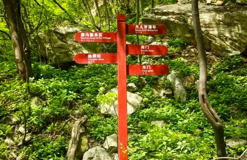 公园里的指示牌 指示牌