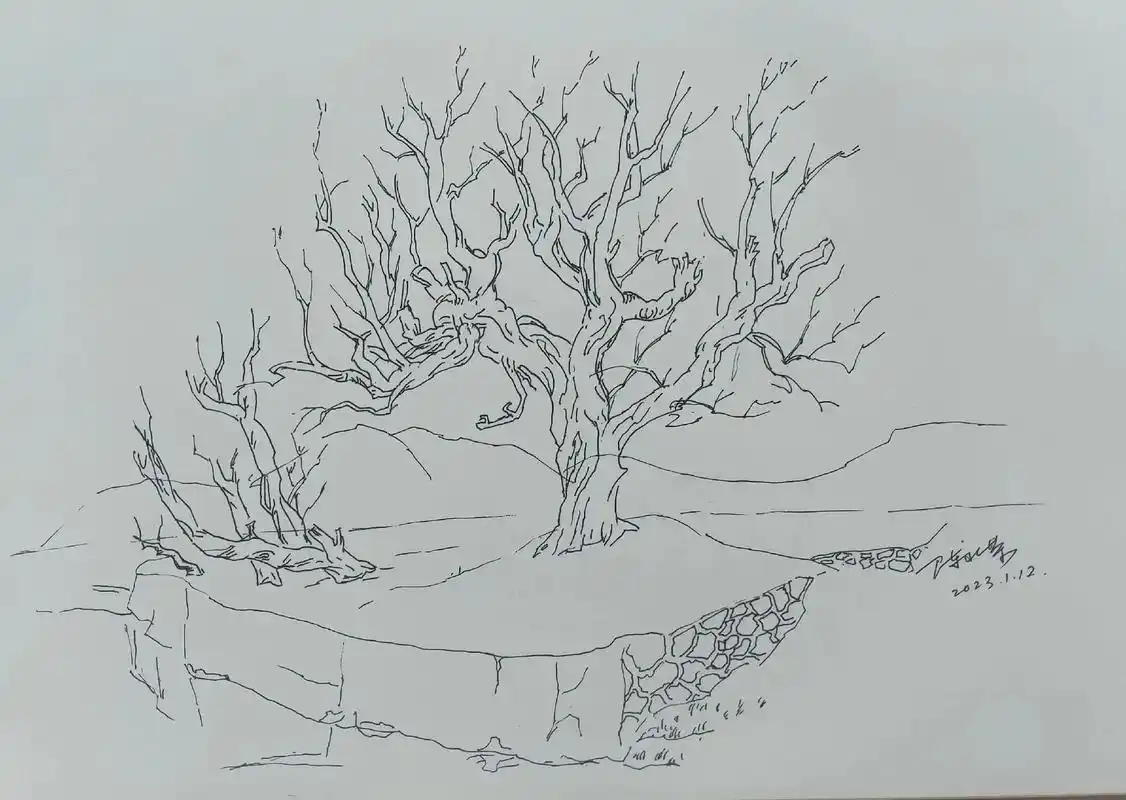 抽空画速写#想画就画 #一起享受大自然的美 #带你走进画里  - 抖音