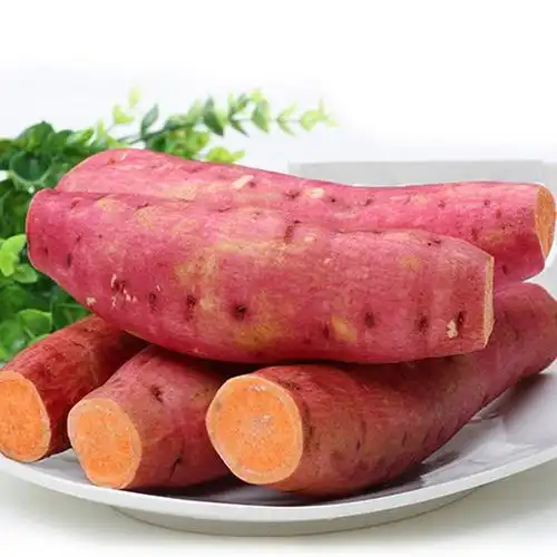 乐平十大特产 - 百刻说