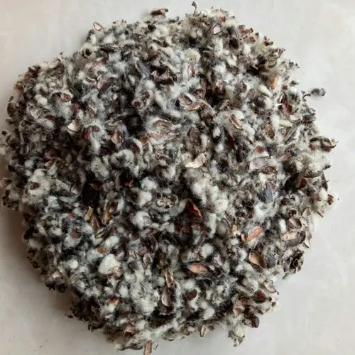 市宝安区汇辰食品店3年禾晟堂品牌新棉籽榨油棉籽种植食用菌用棉籽壳