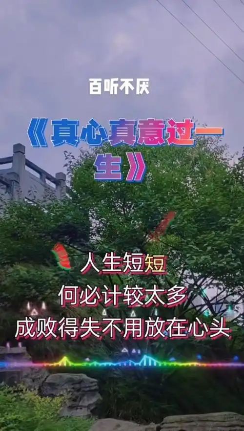 其实我很洒脱是什么歌曲