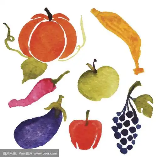 矢量水彩水果和蔬菜插图