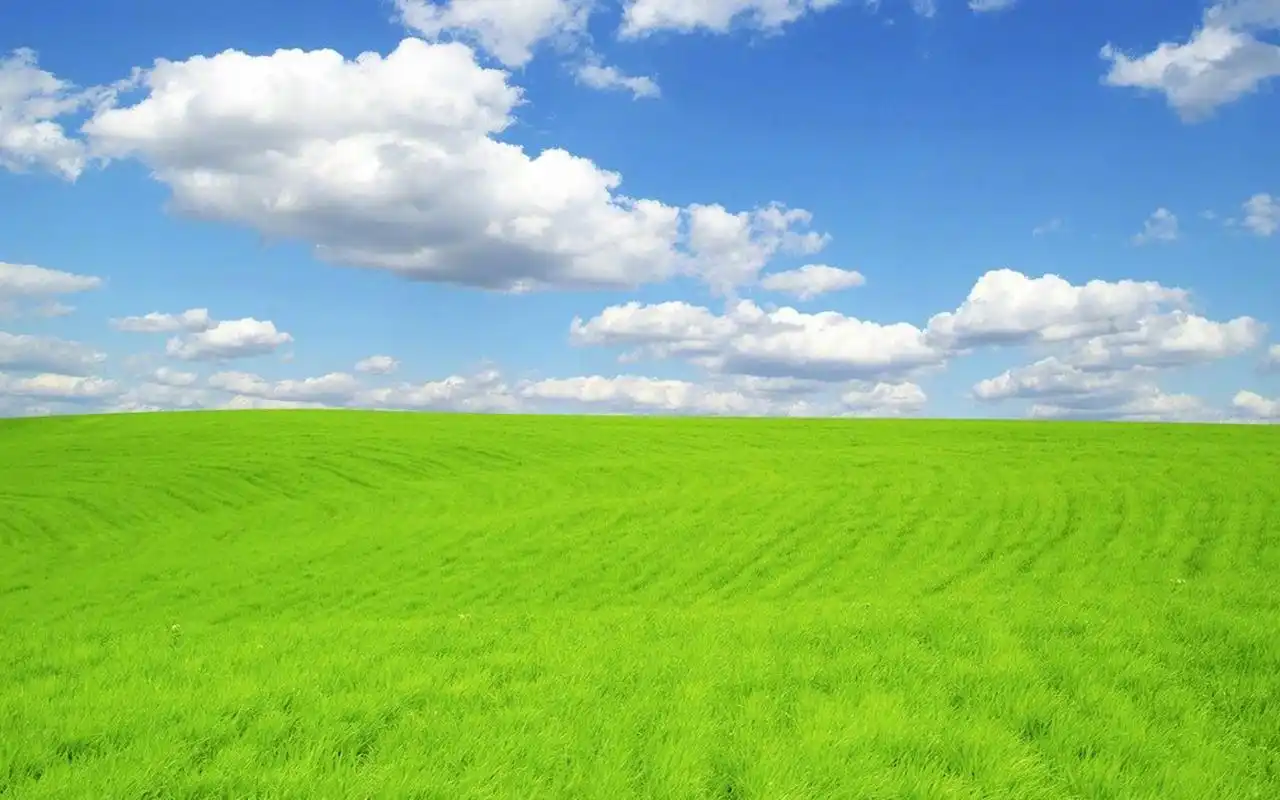 清新护眼绿色草地风景图片桌面壁纸,风景壁纸,绿色,唯美,护眼,高清
