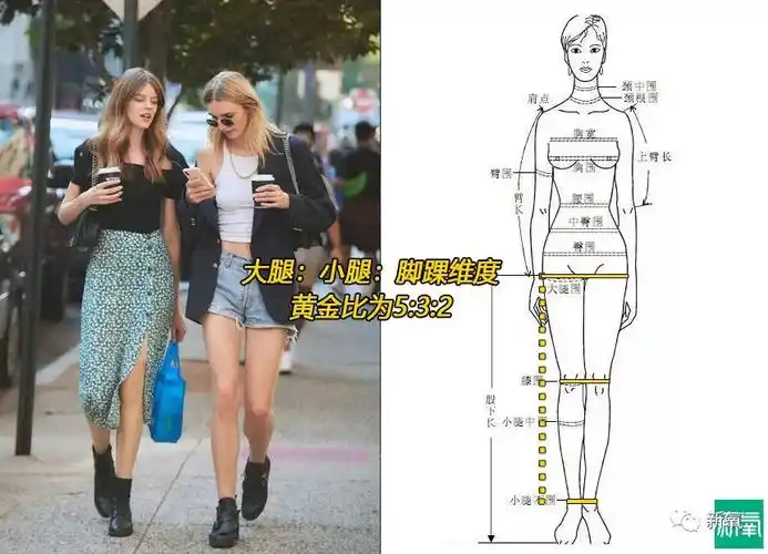 而对于腿部的黄金比例来说,大腿:小腿:脚踝维度比为5:3:2是最为理想的