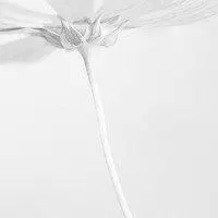 微信纯白色头像