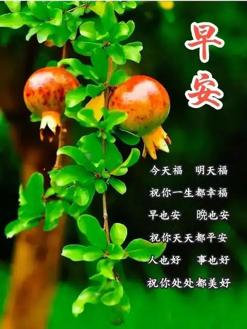 保持好心态的正能量人生语录,清晨美好的免打字早上好问候图片