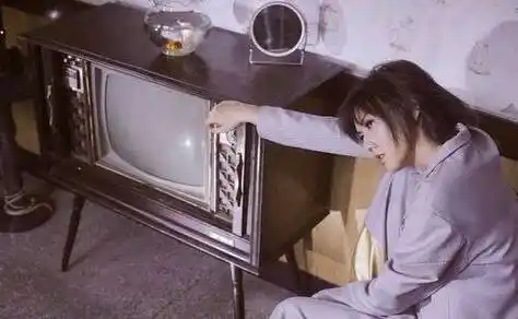 孙燕姿_大江南北_歌曲