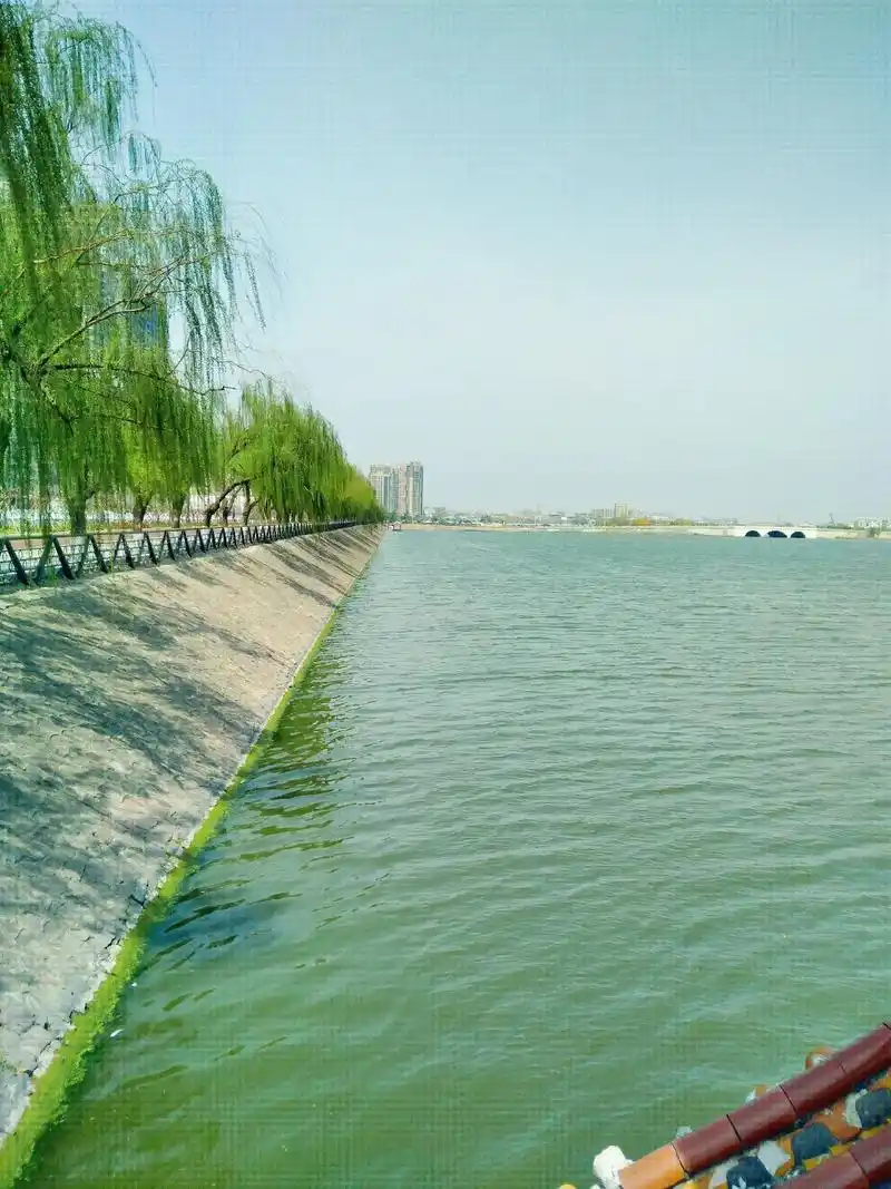 阳光明媚的一天,#开心过好美一天 #时光一去不复返珍惜当下的 - 抖音