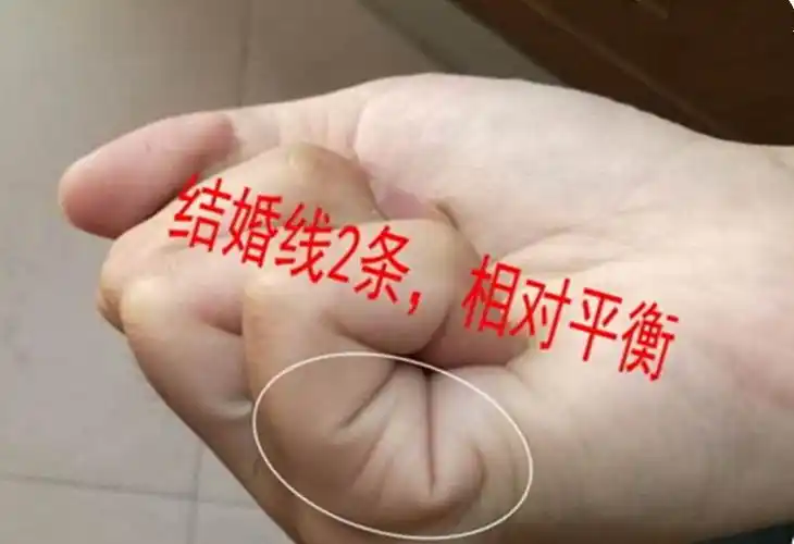 会一夜暴富的手相_富的人手_图文详解_上运阁