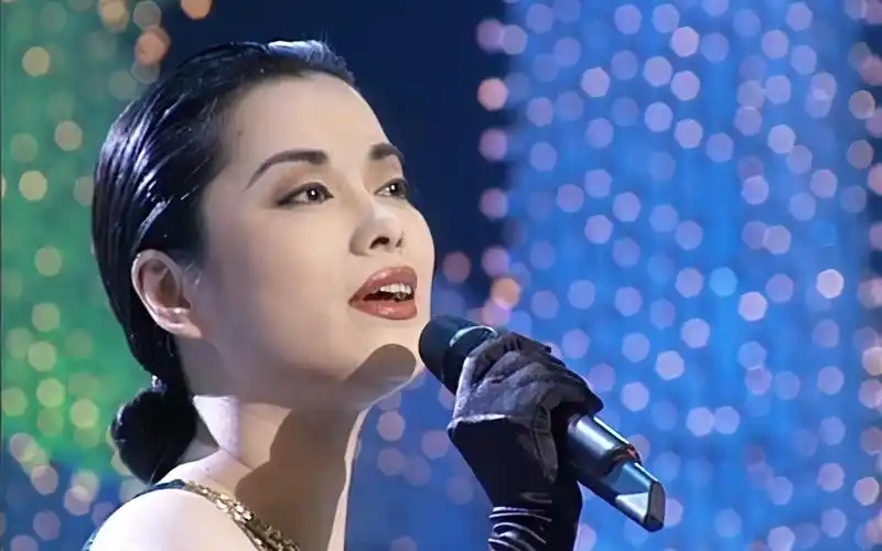 《远方伴着你》毛阿敏