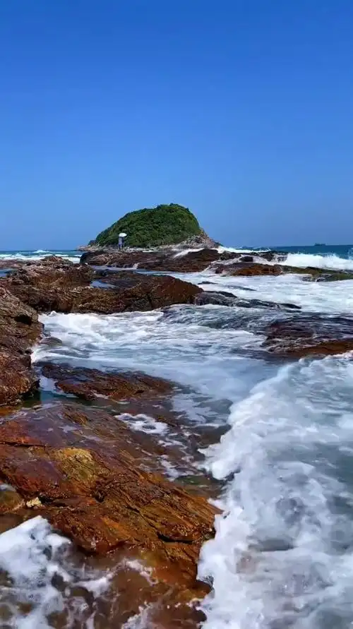 惠州盐洲岛黑排角