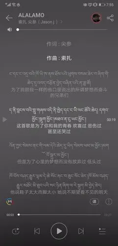 《阿若康巴》 弦子非常经典的纯音乐藏歌.旋律好听!