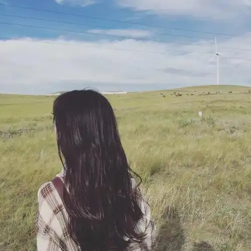 低调安静的微信头像