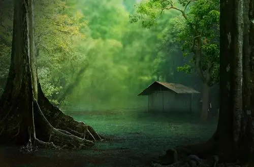 最美的归隐山林大概如此