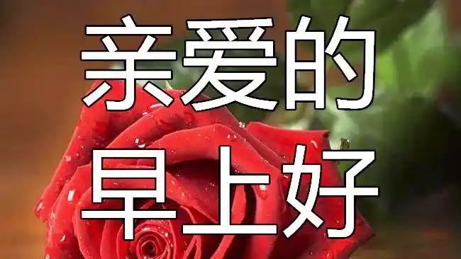 早上好 亲爱的 送您一首好听的歌 祝您永远幸福快乐