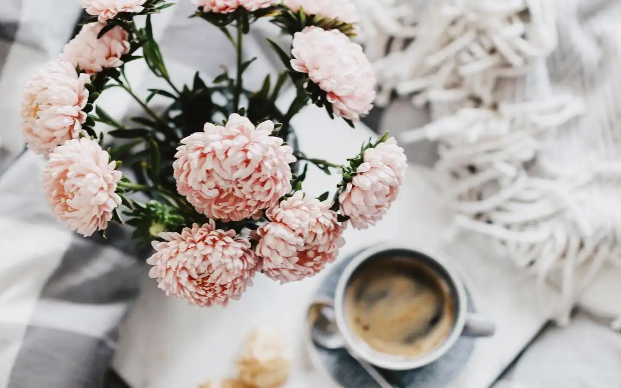 ins风泡芙唯美高清图片桌面壁纸