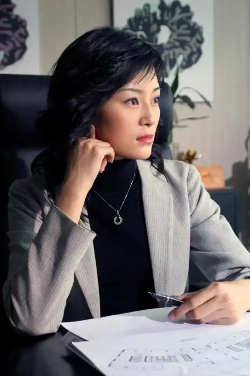 资料图片海岩金耳环第三批精彩剧照17