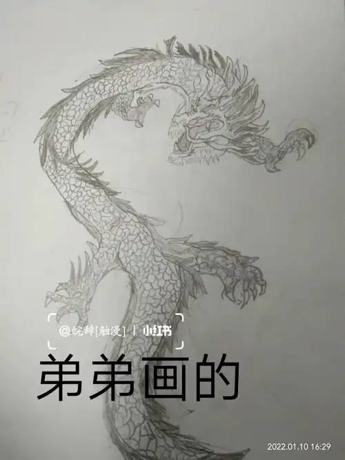 比赛画龙